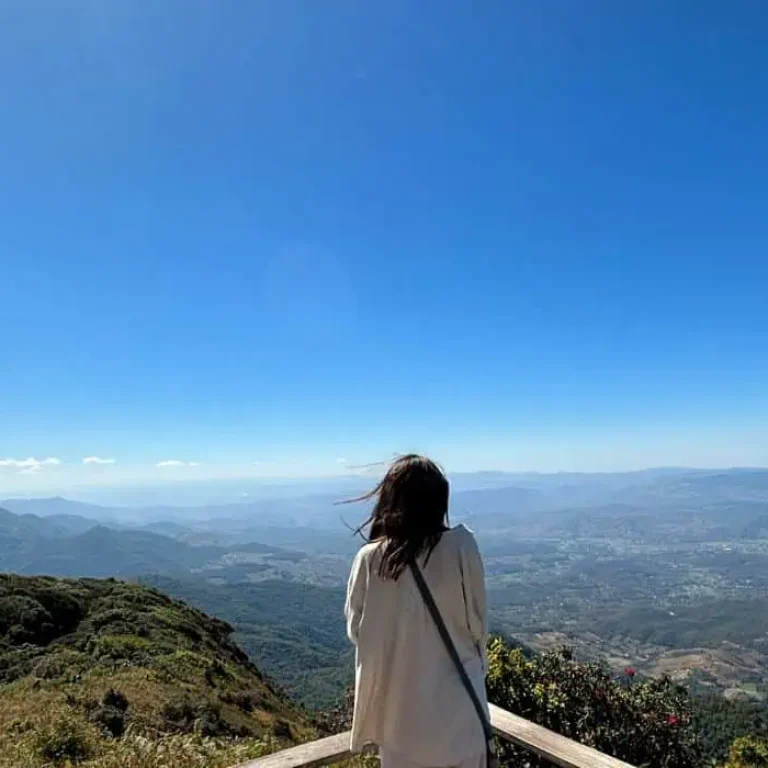 Flexibilitate-in-Determinare